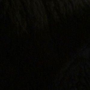 Meet your Posher, Rupal